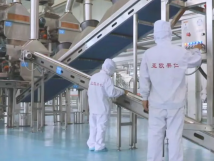 2025年的第一個(gè)月，承德亞歐果仁有限公司在山杏產(chǎn)業(yè)的道路上持續(xù)奮進(jìn)，展現(xiàn)出蓬勃的發(fā)展活力。